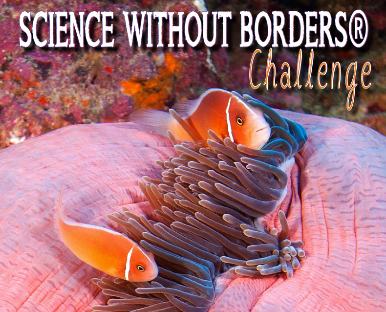 Science without Border Challenge 2019