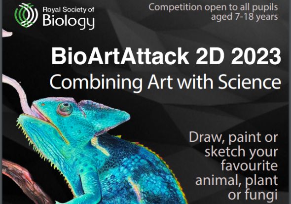 Bio Art Attack (2D) 2023 competition