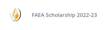 Foundation for Academic Excellence and Access (FAEA) Scholarship 2023-24