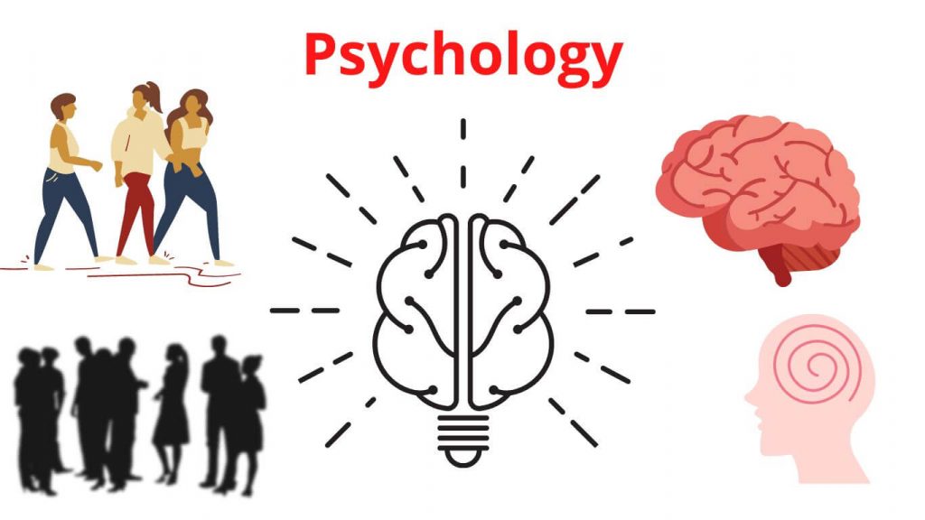 Unveiling Psychology: Career and Branches