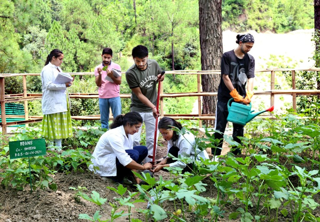 BSc (Hons) In Agriculture