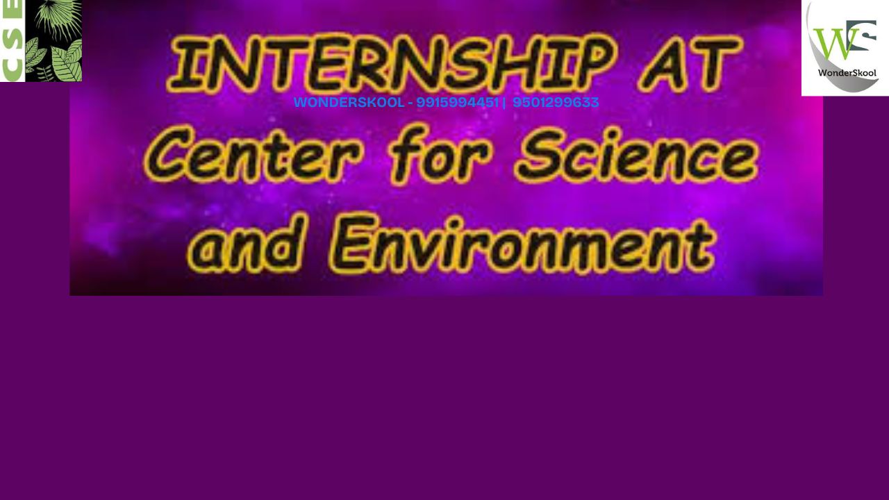 Centre for Science and Environment (CSE) | Policy Advocacy on Environmental Issues - Internship